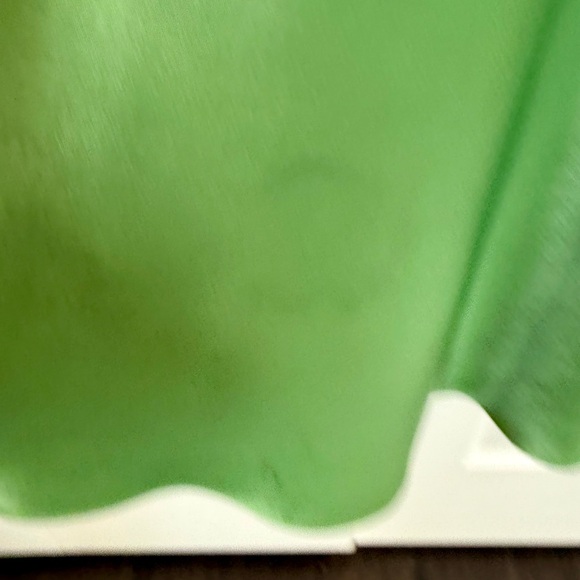 JS Collections Peridot Green Long EveningDress with Embellished Plunging V Neck - Picture 6 of 7